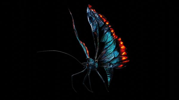 Alien Butterfly Insect