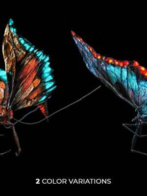 alien-butterfly-insect-3d-model-2df8dcce58