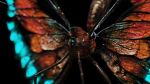 Alien Butterfly Insect