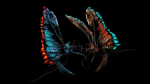 Alien Butterfly Insect