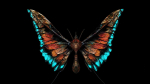 Alien Butterfly Insect