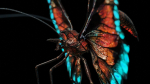 Alien Butterfly Insect