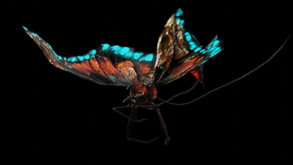 Alien Butterfly Insect