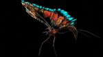 Alien Butterfly Insect