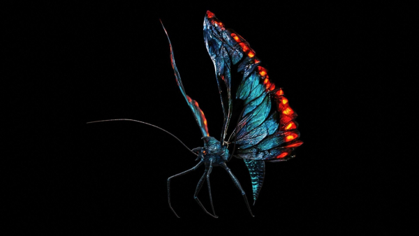 Alien Butterfly Insect