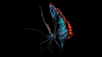 Alien Butterfly Insect