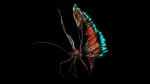 Alien Butterfly Insect