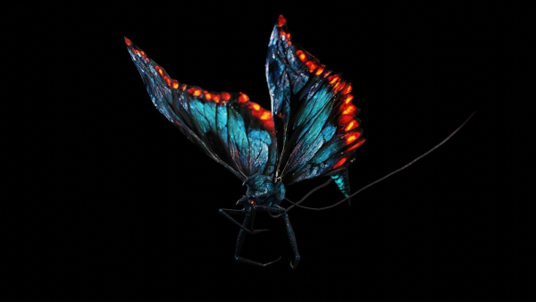 Alien Butterfly Insect