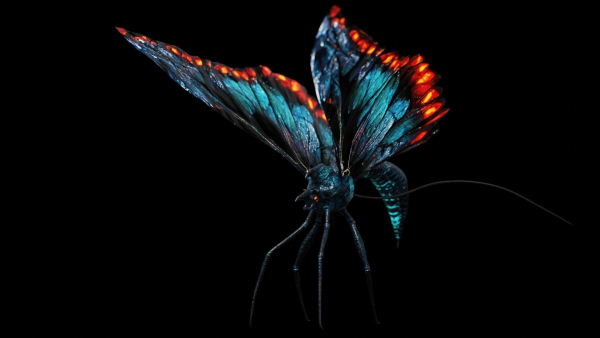 Alien Butterfly Insect