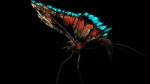 Alien Butterfly Insect