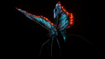 Alien Butterfly Insect