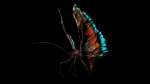 Alien Butterfly Insect