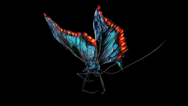 Alien Butterfly Insect
