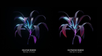Alien Dracaena Plant