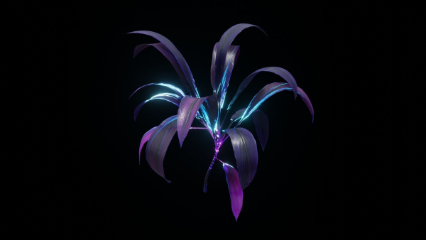 Alien Dracaena Plant