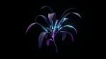 Alien Dracaena Plant