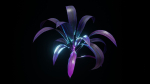 Alien Dracaena Plant