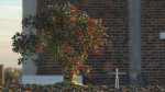 Alien Fantasy Plant Tree 01