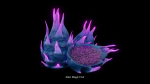 Alien Garden