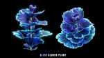 Alien Garden