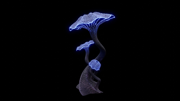 Alien Garden