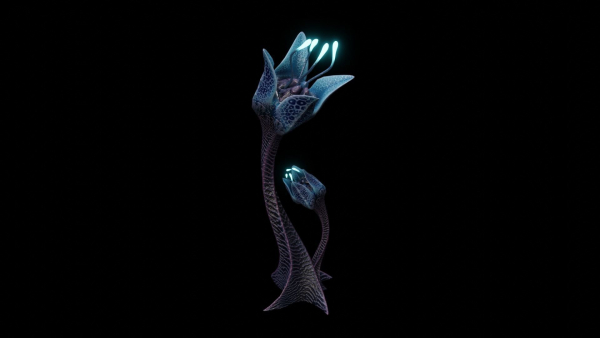 Alien Lily Flower