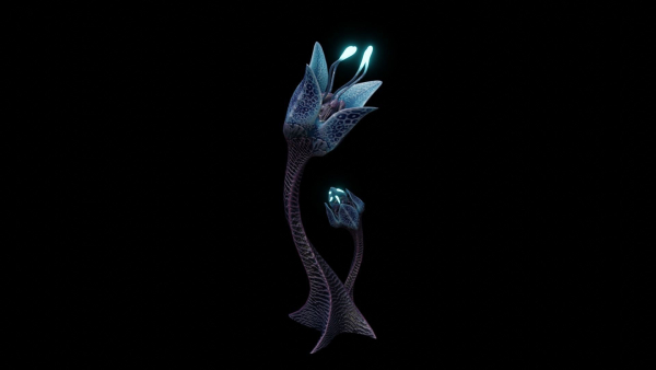 Alien Lily Flower