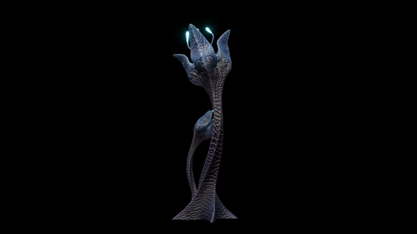 Alien Lily Flower