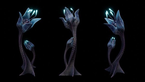 Alien Lily Flower