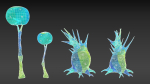 Alien Planet Fantasy Environment - Swamp Plants