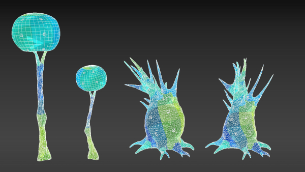 Alien Planet Fantasy Environment - Swamp Plants