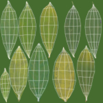 Allamanda cathartica VFX Grace