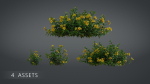 Allamanda cathartica VFX Grace