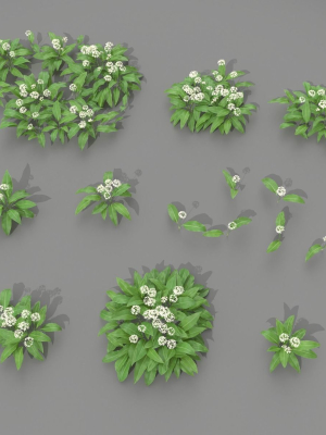 allium-ursinum-3d-model-obj-fbx-stl-blend-abc