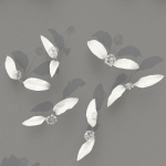 Allium Ursinum
