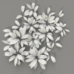 Allium Ursinum