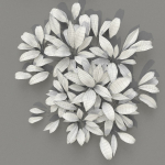 Allium Ursinum