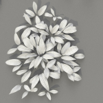 Allium Ursinum