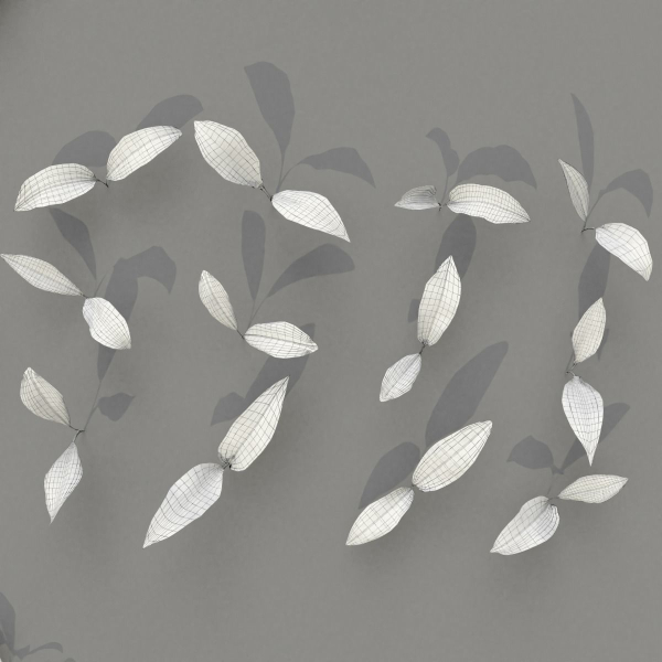 Allium Ursinum