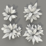 Allium Ursinum