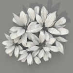 Allium Ursinum