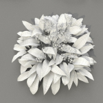 Allium Ursinum