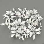 Allium Ursinum