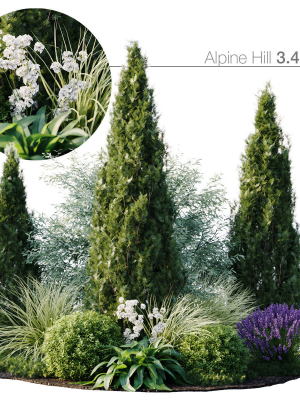 Alpine Hill