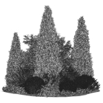 Alpine Hill