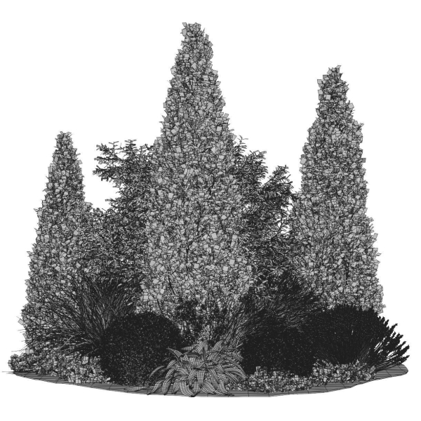 Alpine Hill