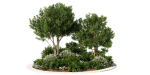 Alpine Hill 6 - Tree - Bushes