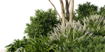 Alpine Hill 6 - Tree - Bushes