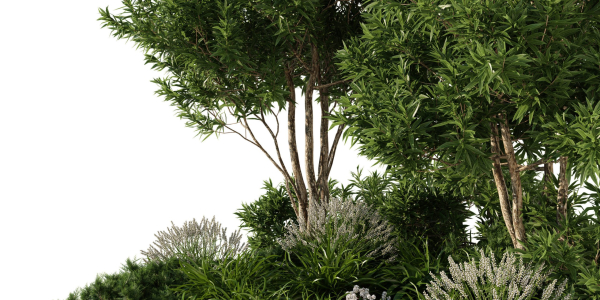 Alpine Hill 6 - Tree - Bushes