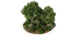 Alpine Hill 6 - Tree - Bushes
